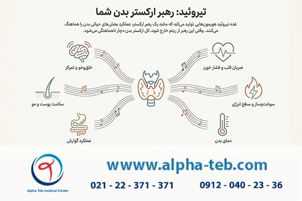 تیروئید فرمانده بدن شما